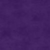 Shadow Play - Petunia