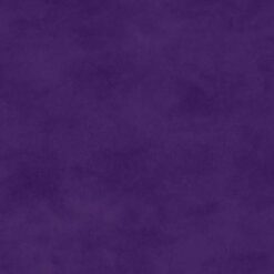 Shadow Play - Petunia