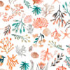Coral - QT Cuties 2 - White