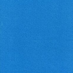 Blockbuster Basics Turquoise