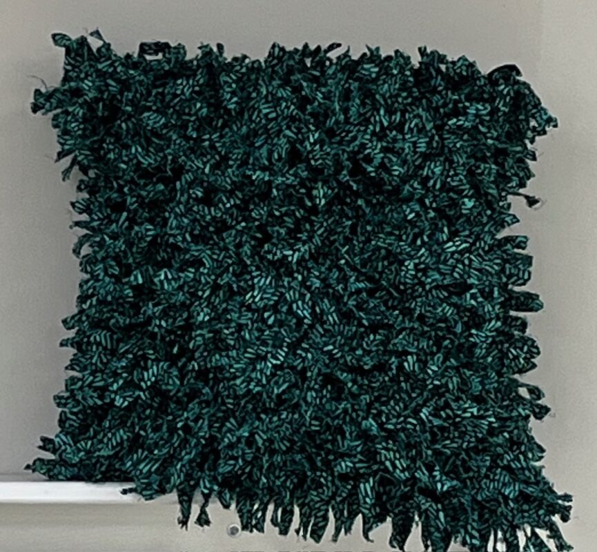 Shaggy Chic Pillow - Tuesday, 2/10/26 - 10 AM