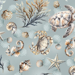 Marine Life - Ocean