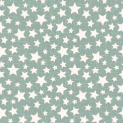 Snowtop Mountain Aqua Star Flannel